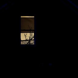 Window.jpeg