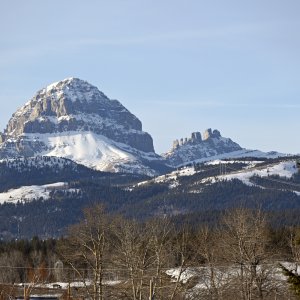 DSC_0005A.jpg