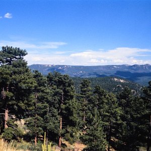 DSC_0029a.jpg