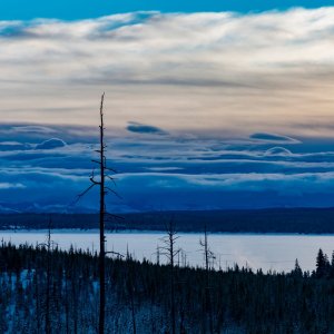 Yellowstone_IMG_9553.jpg