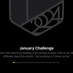 January challenge.jpeg