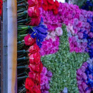 Parade Float Closeup.jpg
