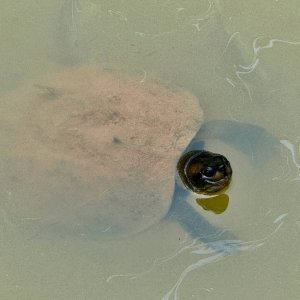 IMG_2866.jpeg