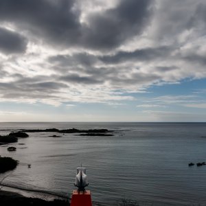 Galapagos_IMG_6047.jpg