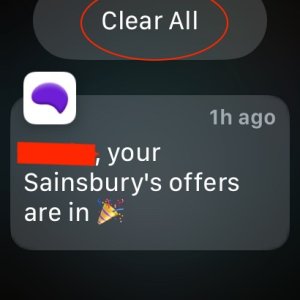 Screen Grab.jpeg