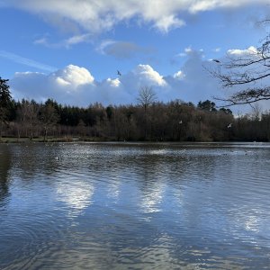 2023 - 29.12.23 - TILGATE PARK_9.jpg