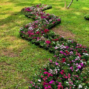 IMG_1392.jpeg