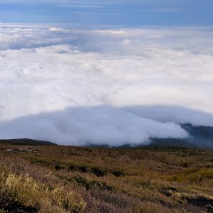 Subashiri Trail.jpg