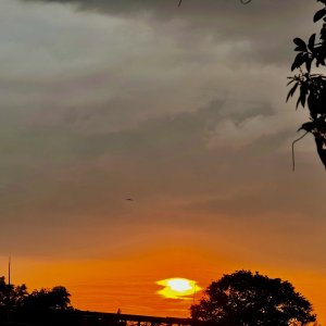 IMG_1707.jpeg