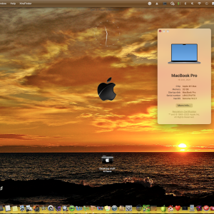 Screenshot 2024-01-08 at 11.31.38.png