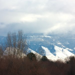 backyardwinter - 1.jpeg