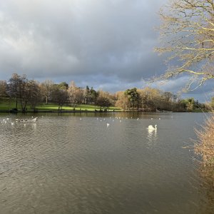 2023 - 29.12.23 - TILGATE PARK_13.jpg