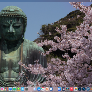 Screenshot 2024-01-08 at 1.44.25 PM.png