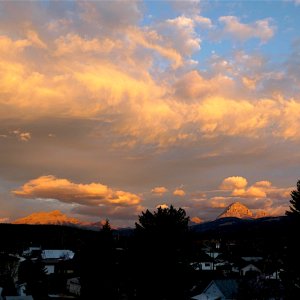 P1030451A.jpg