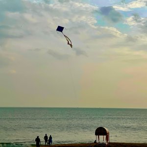 IMG_8309.jpeg