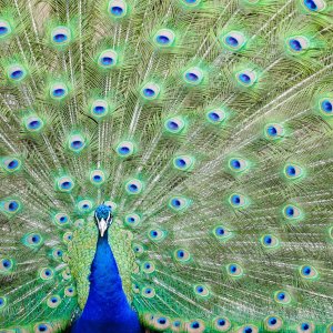 9810C440-E636-4D95-8AC6-2E5C87A4F6DD.jpg