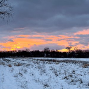 IMG_4064.jpeg