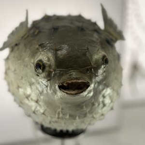 IMG_2563.jpeg