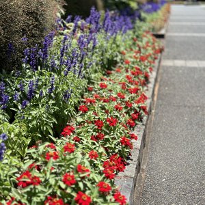 IMG_2739.jpeg