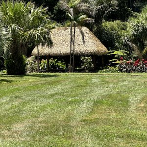IMG_2747.jpeg