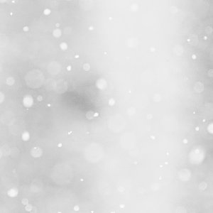 Snow (B&W).jpeg