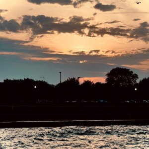 IMG_4026.jpeg