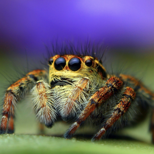 Screenshot 2024-01-22 at 8.26.16 PM.png