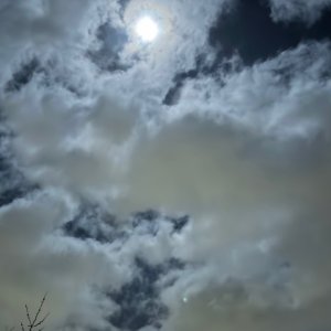 IMG_6669.jpeg