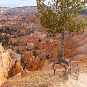 Bryce Canyon.jpg