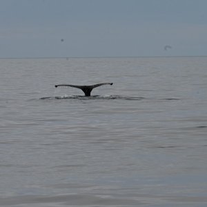 DSC_3359.jpeg