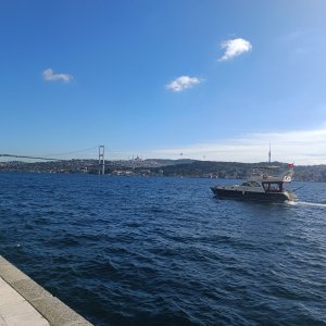 IMG_20231114_115314.jpg