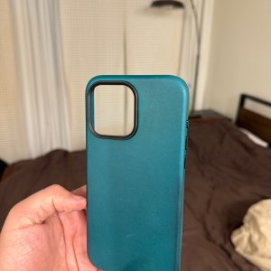 IMG_6994.jpeg