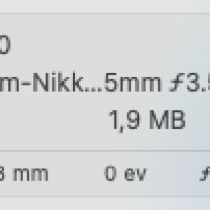 dump.jpg