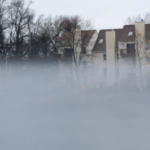 Fog Rising From the Lake.jpeg