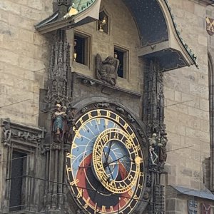 IMG_5524.jpeg