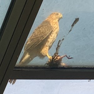 IMG_3202.jpeg