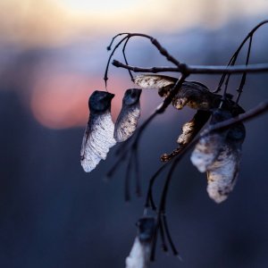 IMG_2024-01-29-181422.jpeg