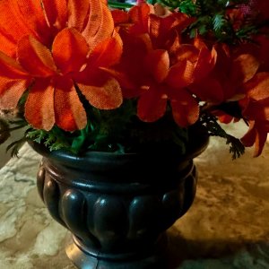 IMG_5182.jpeg