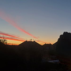 IMG_6716.jpeg