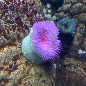 IMG_6118.jpeg