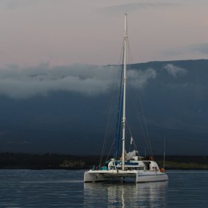 Galapagos_IMG_4757.jpg