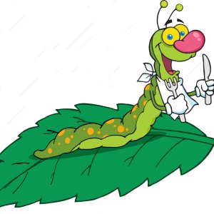 Bugs Lunch.jpg
