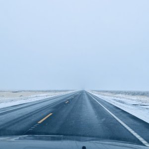 IMG_7175.jpeg