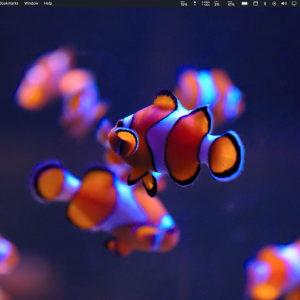 Screen Shot 2024-02-04 at 9.29.18 PM.png