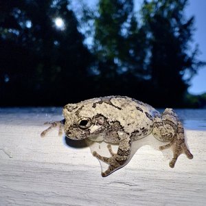 IMG_6665.jpg