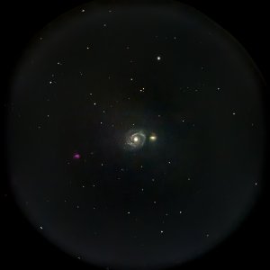 IMG_3365.jpeg