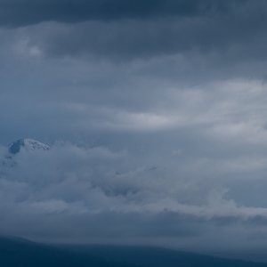IMG_7622.jpg