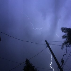 IMG_2813.jpeg