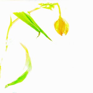 Fragments.jpeg