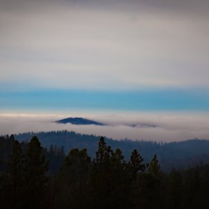 _MG_8748.jpg